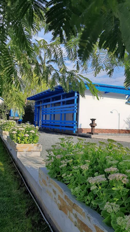 Complex Turistic Essenza Hotel Муригьол Екстериор снимка